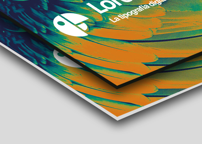grande-formato-stampa-forex- loretoprint grande-formato-stampa-forex- loretoprint